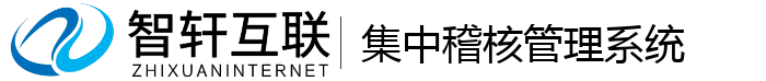 集中稽核系统